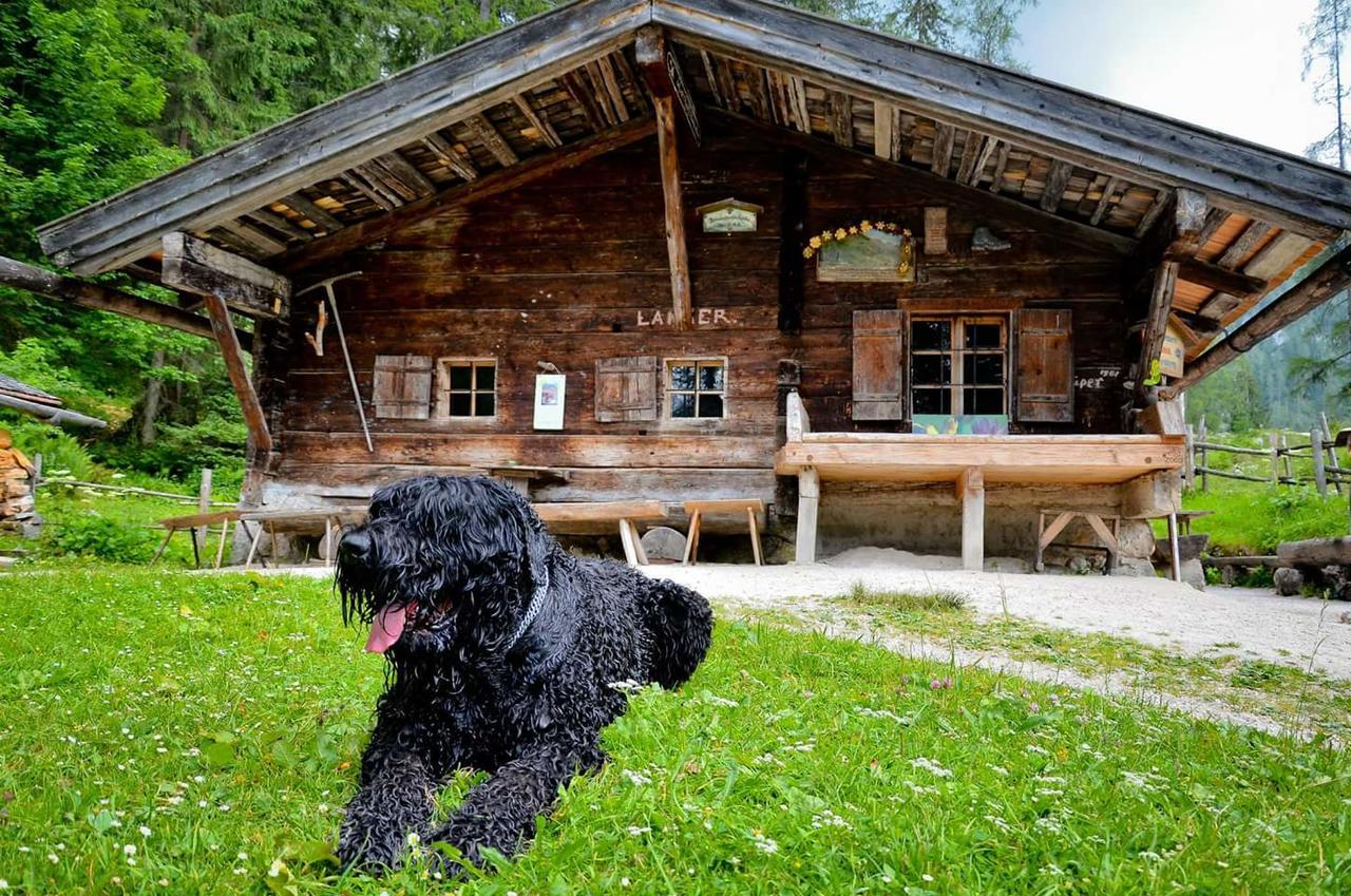 Pension Greti Schönau am Königssee Exterior foto